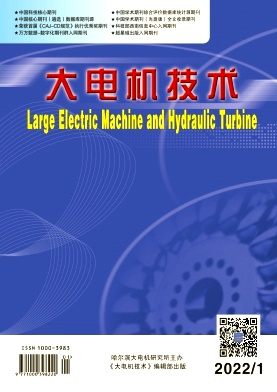 《大電機(jī)技術(shù)》